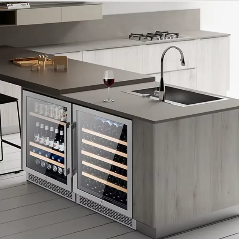 Wijnkoelkast met dubbele glaze - Wine Beer Fridge Cabinet recensie en prijs
